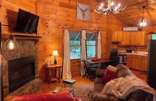 Ellijay Cabin | The Woods At Whitetail Ridge- 2 fireplaces-
