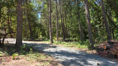 Murphy Other | The Woods - Madrone Cabin