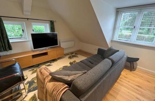 Petersfield House | The Workshop