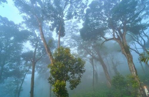 Udumbanchola House | The Yela Munnar by VOYE HOMES , Nestled in Cardamom Plantation