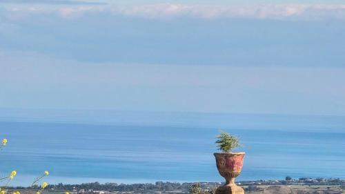 Kritou Tera Villa | Thea Estate