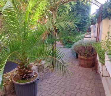 Deersheim Apartment | TheBackyard