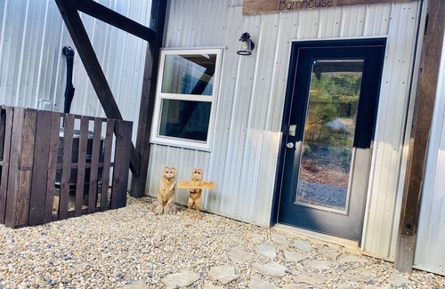 Mena Cabin | TheBarnhouse: Secluded Ride2Trails PetFriendly GameRoom MountainRetreat FirePit