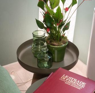 Santa Maria Novella Apartment | TheGreen Florence