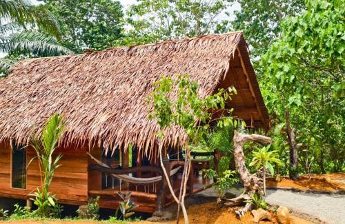 Bukit Lawang Hotel | TheJungleGuide - Lodges & Treks