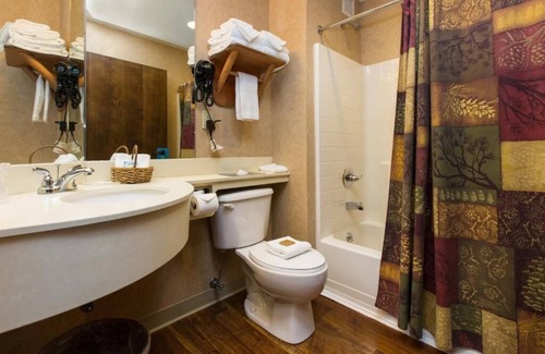 Onalaska House | Theme Suite Mini Premier, Fireplace, Stoney Creek Onalaska | 2 Units