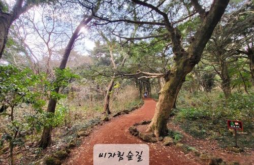 Pyeongdae-ri House | There Bengdi