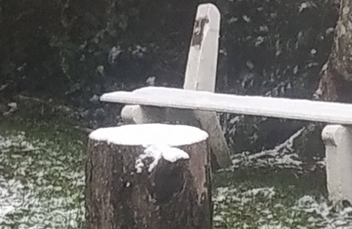 C A I C Apartment | There is no Unit 1