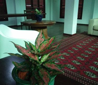 Setiu House | thesanctuary@telagapapan