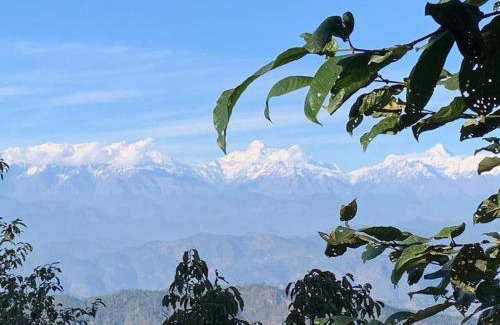 Almora Cabin | Thikalna Himalayan Retreat