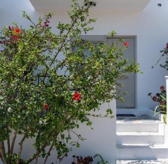 Kefalos Apartment | Thines studio B