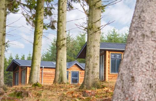 Lauder Resort | Thirlestane Woodland Lodges