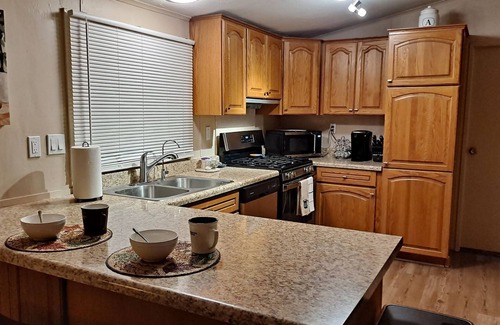 Tucson Estates House | This Desert Oasis in the foothills of the Saguaro National Forest Awaits!