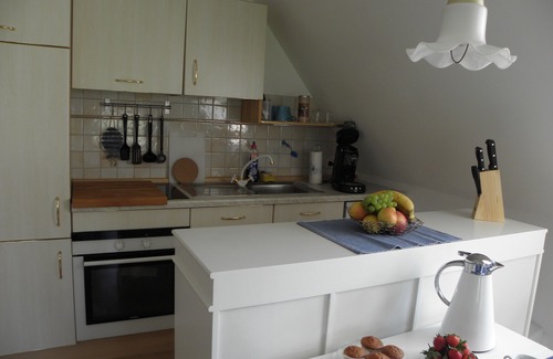Ostenfeld Apartment | This holiday village pond in Reetdachhaus Ostenfeld/Husum