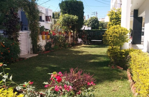 Udaipur House | This Homestay is best suitable for Friends and Families. LGB & Couple Friendly