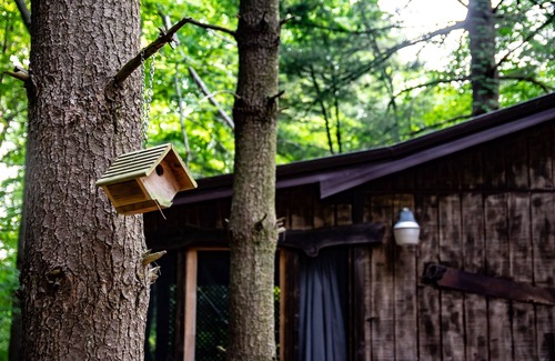 Carbon Hill Cabin | This is a must-see Cabin.