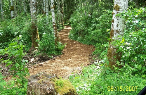 Port Angeles Cottage | This Is The Place - Your Year Round Getaway! N. W. Living At Its Best!