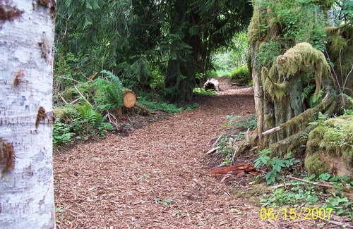 Port Angeles Cottage | This Is The Place - Your Year Round Getaway! N. W. Living At Its Best!