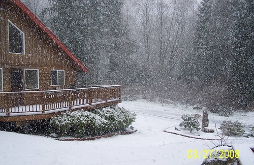 Port Angeles Cottage | This Is The Place - Your Year Round Getaway! N. W. Living At Its Best!