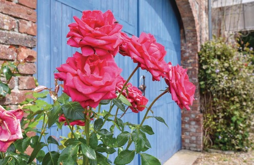 Ancourteville-sur-Hericourt House | This large cottage has an open fireplace.