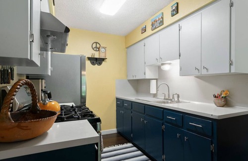 South Manchaca House | This Little Piggie Went to Austin