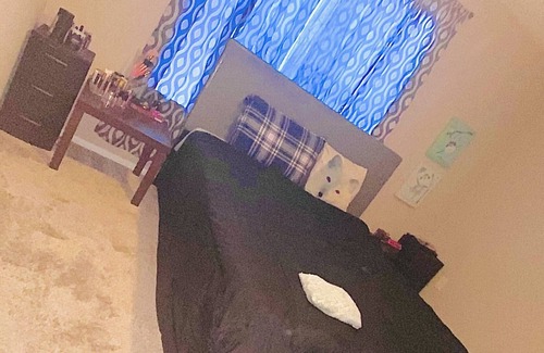 Woodstock Apartment | This’s a two bedroom, two bath. You have your private room and bath. I live here