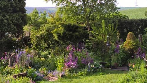 Fylingthorpe Bed & Breakfast | Thorpe Green House Vegetarian Bed & Breakfast