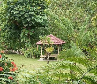 Ketambe Bed & Breakfast | Thousand hills , bungalows and junggle trip