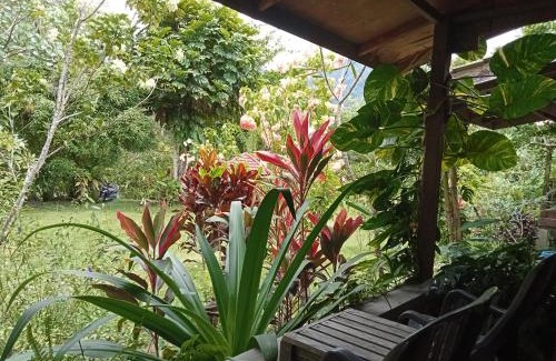 Ketambe Bed & Breakfast | Thousand hills , bungalows and junggle trip