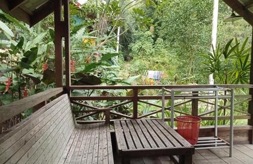 Ketambe Bed & Breakfast | Thousand hills , bungalows and junggle trip