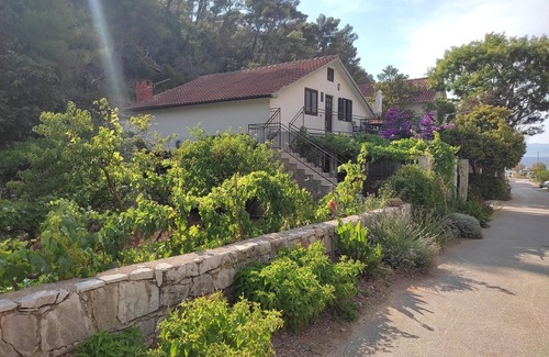 Zastrazisce Apartment | Three bedroom apartment with terrace and sea view Cove Vela Stiniva, Hvar (A-19951-a)