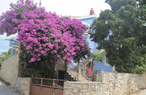 Maslinica Apartment | Three bedroom apartment near beach Maslinica, Šolta (A-14748-a)