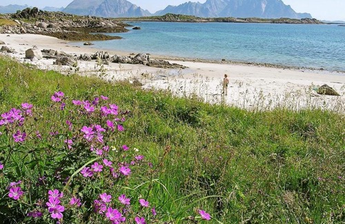 Bostad House | Three-Bedroom Holiday home in Leknes 1