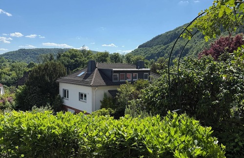 Neckarsteinach Apartment | Three-castle view in an apartment with a covered terrace and castle view