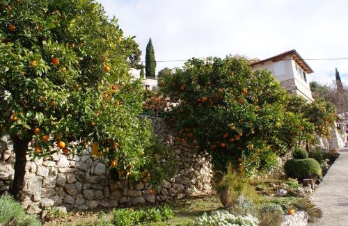 Trsteno Apartment | Three oranges
