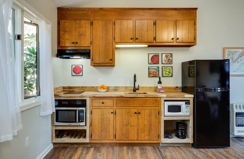 Lyndhurst Apartment | Three Ridges Cabin-kitchen, fireplace, jacuzzi