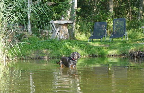 Krakow am See House | Three-room holiday home - Ferienhaus Forsthaus
