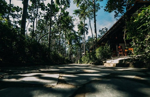 Hue House | Thuy Bieu Homestay - Truly Enjoy in Hue city, Vietnam