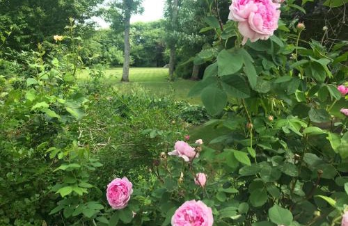 Hvidbjerg Bed & Breakfast | Thyholm B&B