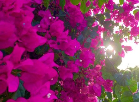 Le Moule Apartment | Ti’Bou des Îles de Guadeloupe