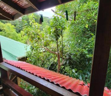 Wotten Waven House | Tia's Bamboo Cottages Restaurant, Bar & Sulphur Spa
