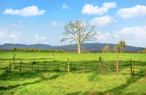 Tibberton House | Tibberton Court Apartment 2 - Uk48589