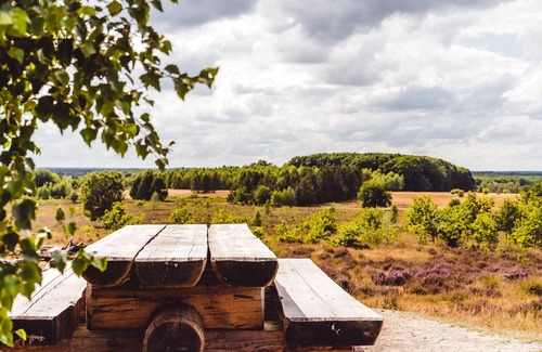Municipality of Epe Ski Chalet | Tidy furnished chalet with a combi microwave, in the Veluwe