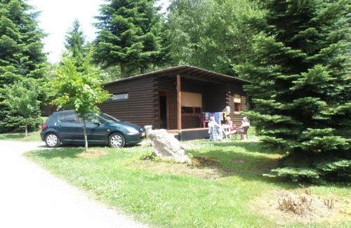Halenfeld Ski Chalet | Tidy furnished wooden chalet near the forest