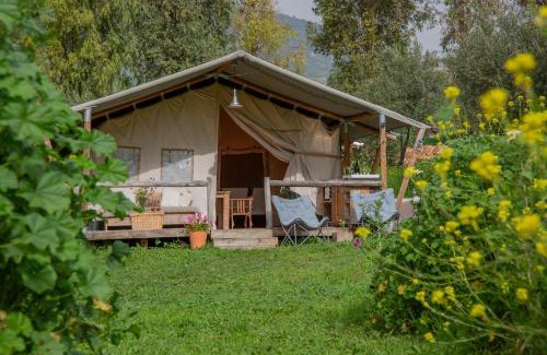 Montecorto Other | Tienda de Safari Almagro