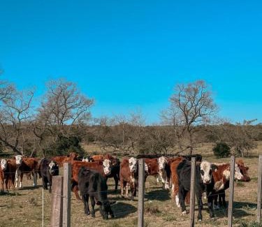 Canelones Bed & Breakfast | Tierra Mora - Posada de Campo