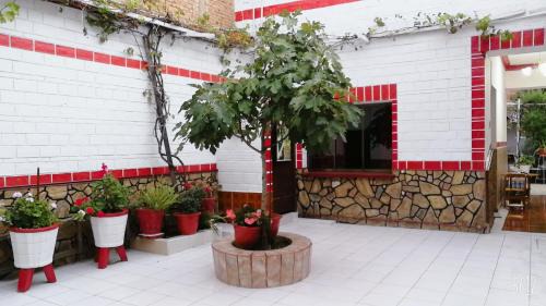 Tarija Bed & Breakfast | Tierra Nuestra