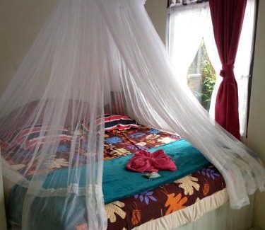 Bukit Lawang House | Tiga dara guest house jungle trekking