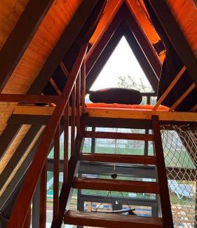 Adapazari House | Tiger House 3 Oda