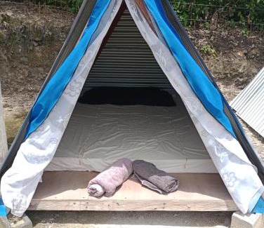 Peten Other | Tikal glampimg la mansión del danto